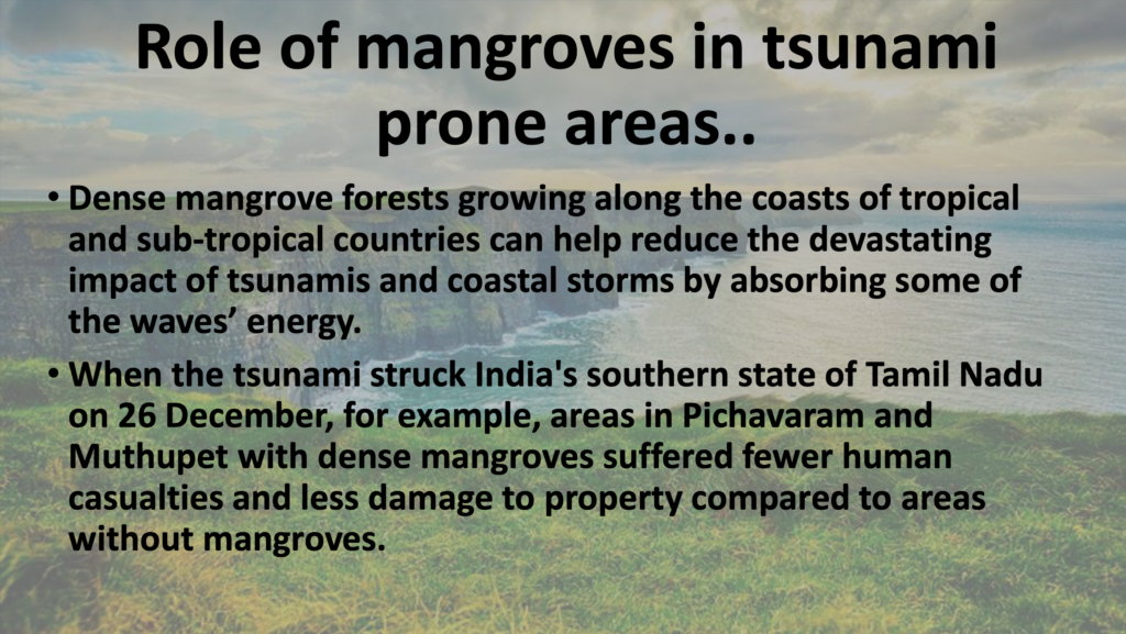 Marine Processes geography